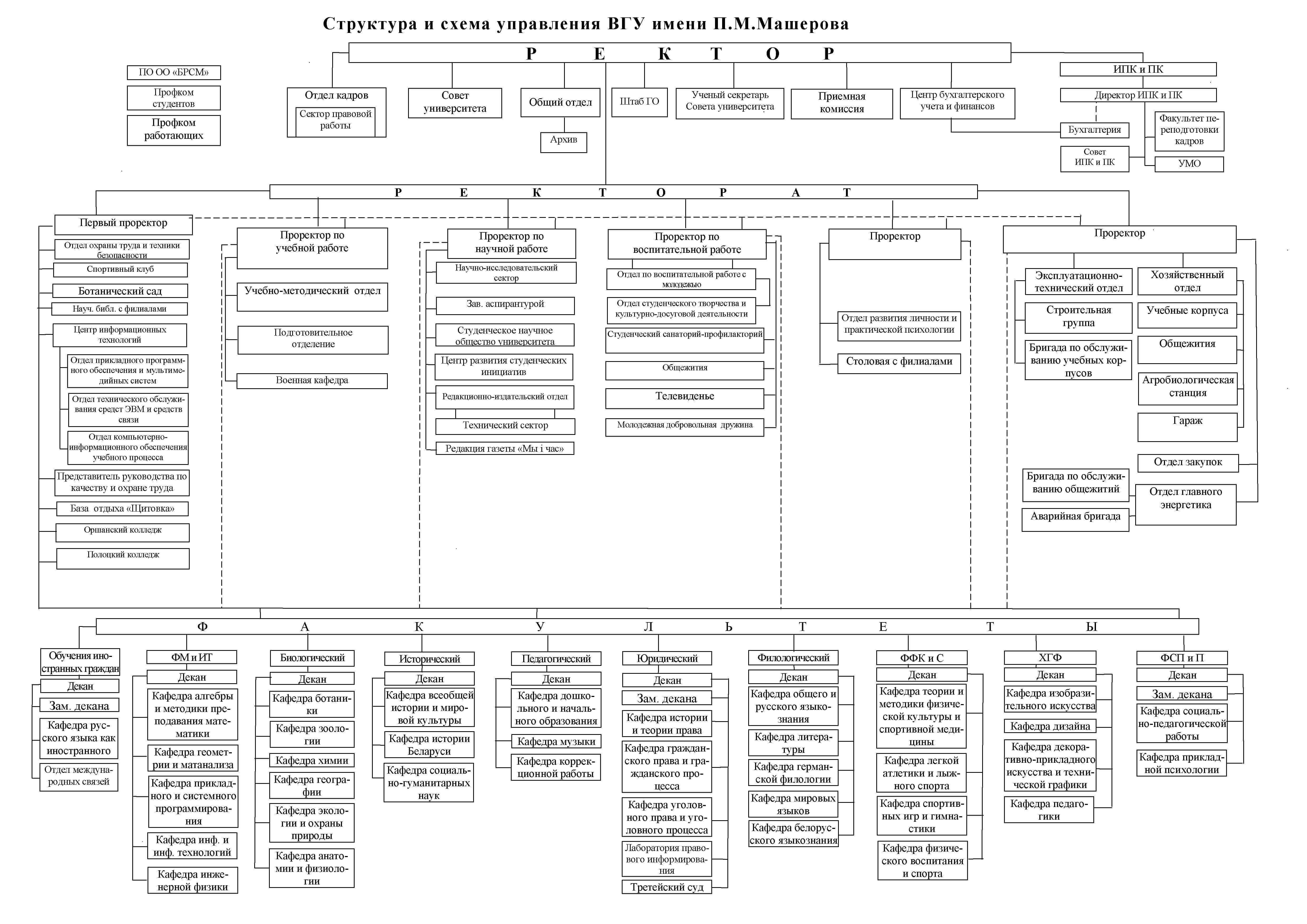 Структура и схема управления ВГУ имени П.М. Машерова